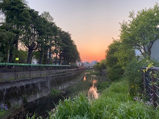 419D5258-A8FD-48F1-9933-FB6FB75F2428.jpegのサムネイル画像